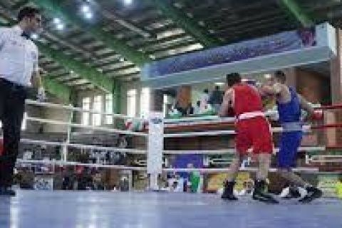 قهرمانی بوکس آذربایجان غربی در انتخابی تیم ملی