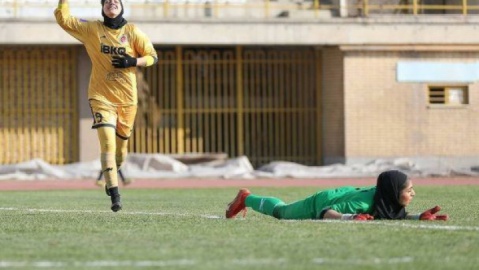 چرا تأکیدی روی چمن طبیعی نیست؟