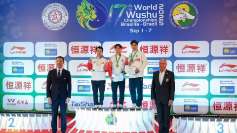 افتخارآفرینی ووشوکاران ایرانی در برزیل