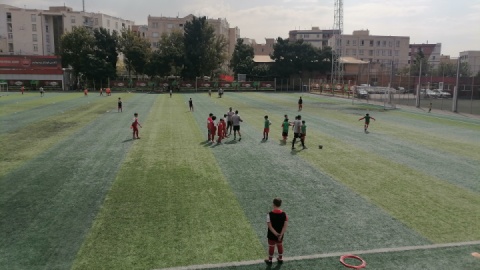 مدرسه فوتبال پرسپولیس در حد استاندارد