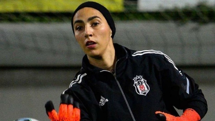 تجربه‌ای برای آرامش در قفس توری