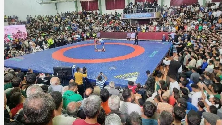 شیرشاه همه را سرکار گذاشت