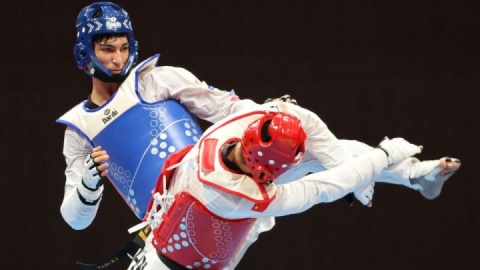 فدراسیون‌های رها