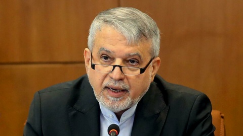 صالحی امیری: کشتی آبروی ورزش ایران است