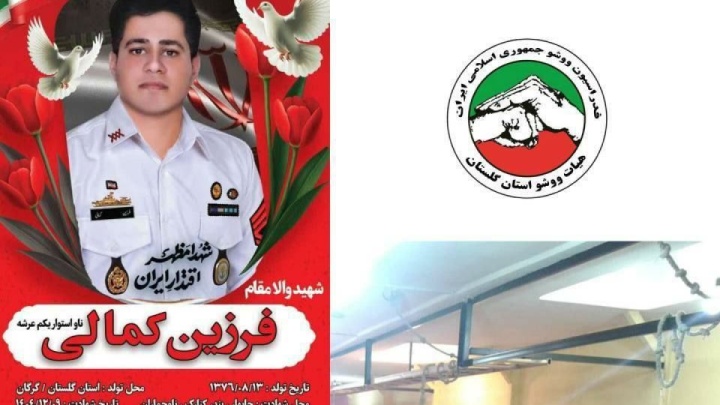 شهادت دومین ووشوکار ایرانی در پی حملات آمریکایی - صهیونیستی به میهن