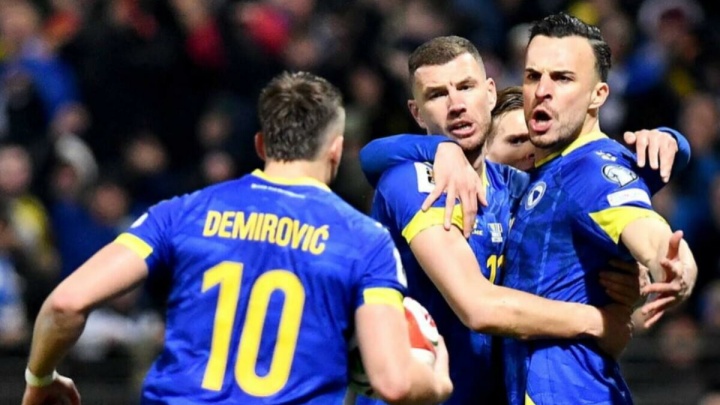 معرفی تیم‌های حاضر در جام جهانی،گروه B ، بوسنی و هرزگووین