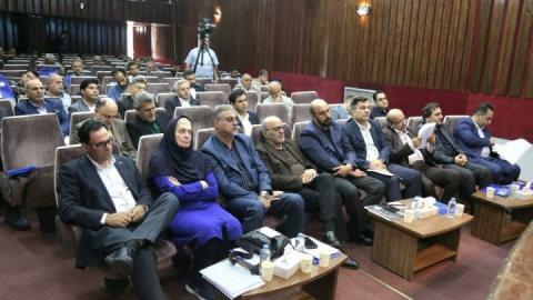 استعفای فریده شجاعی نمایشی بود
