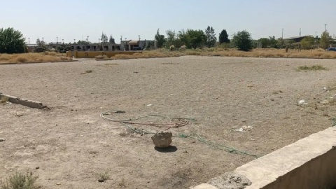 احیای یک‌ماهه